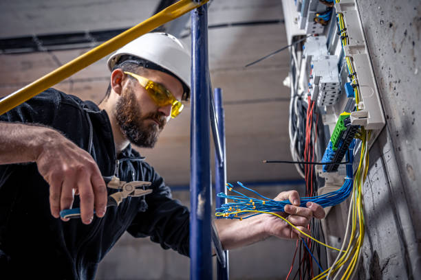 Best Electrician for Home Renovation  in Palmhurst, TX