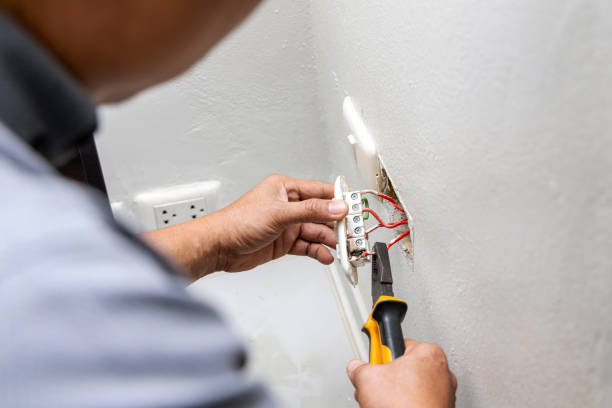 Best Residential Electrician Services  in Palmhurst, TX